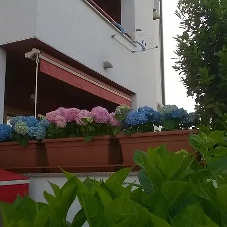 Adrijan Krk Apartment *
