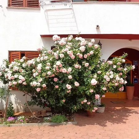 Апартаменты Adrijan Krk